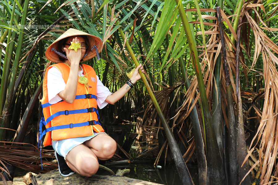 Image: Seven-sample coconut forest - Hoi An